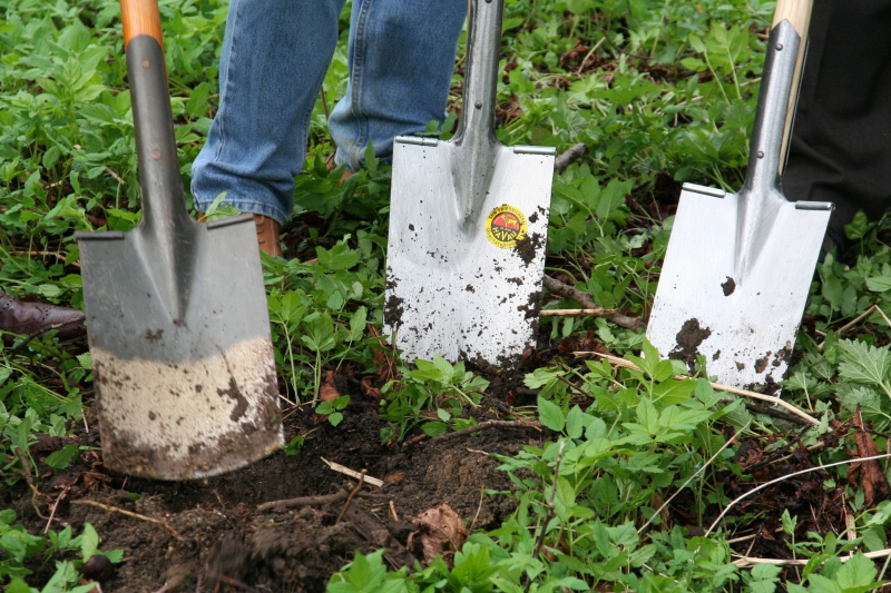 pepiniere-GILETTE-min_work-lawn-flower-tool-green-backyard-1103633-pxhere.com